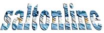 Saltonline